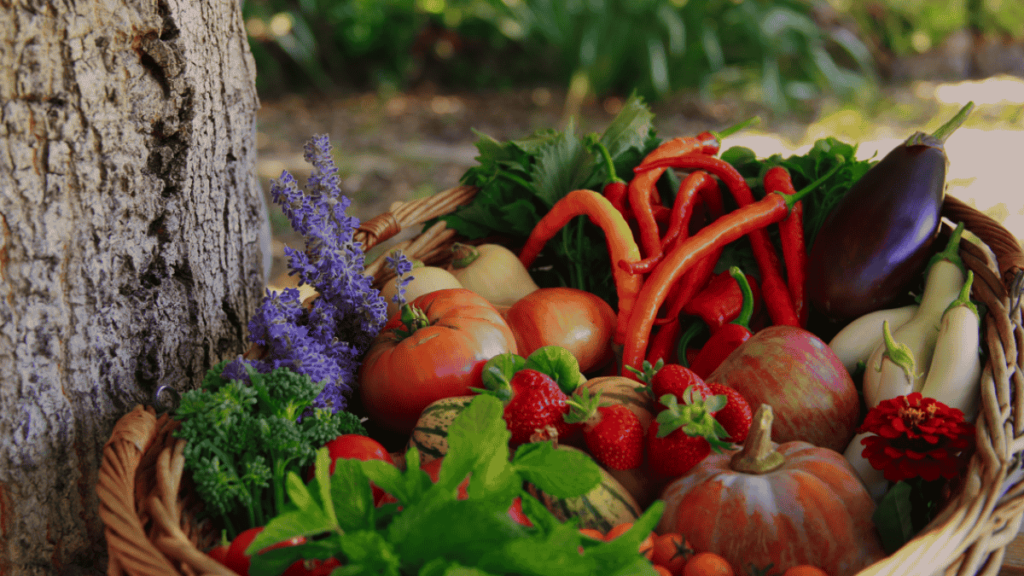 a basket of vegetables and fruits from Circlefoot
