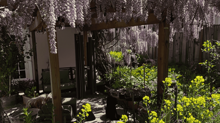 a garden with flowers from Circlefoot