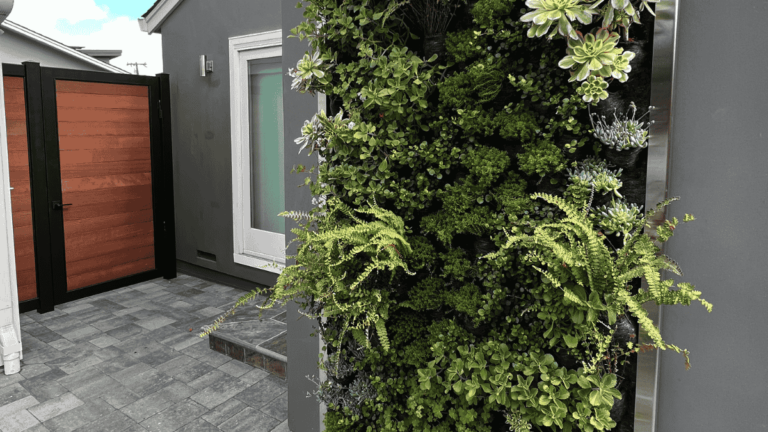 a green plant growing on a wall from Circlefoot