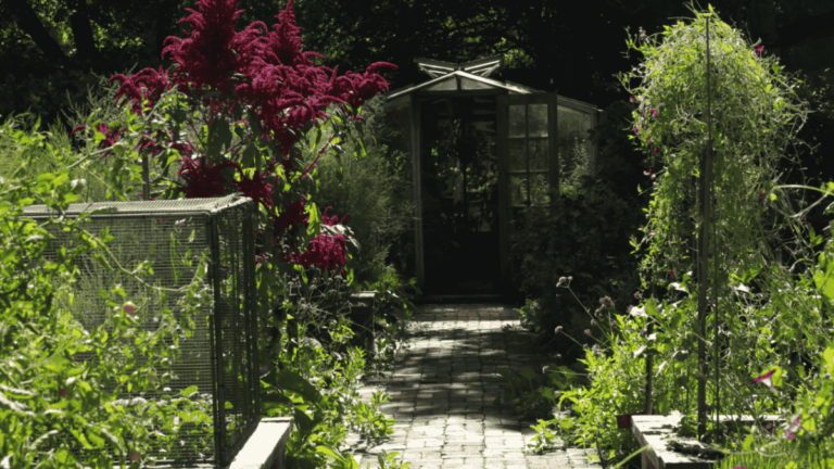 a garden with a brick path and a greenhouse from Circlefoot