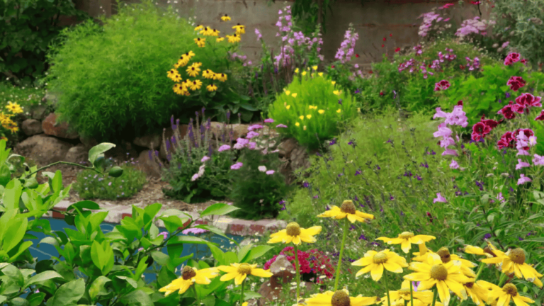 How to Build an Irrigation System That Learns and Adapts